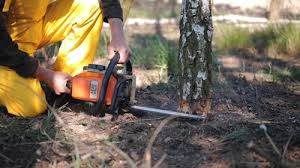 Best Lawn Mowing  in Middletown, CA
