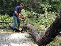 Best Seasonal Cleanup (Spring/Fall)  in Middletown, CA